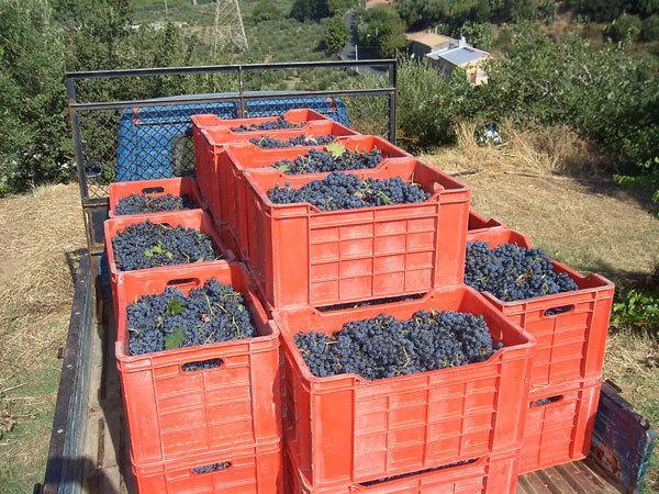 Agriturismo Parra Santa Lucia del Mela 외부 사진