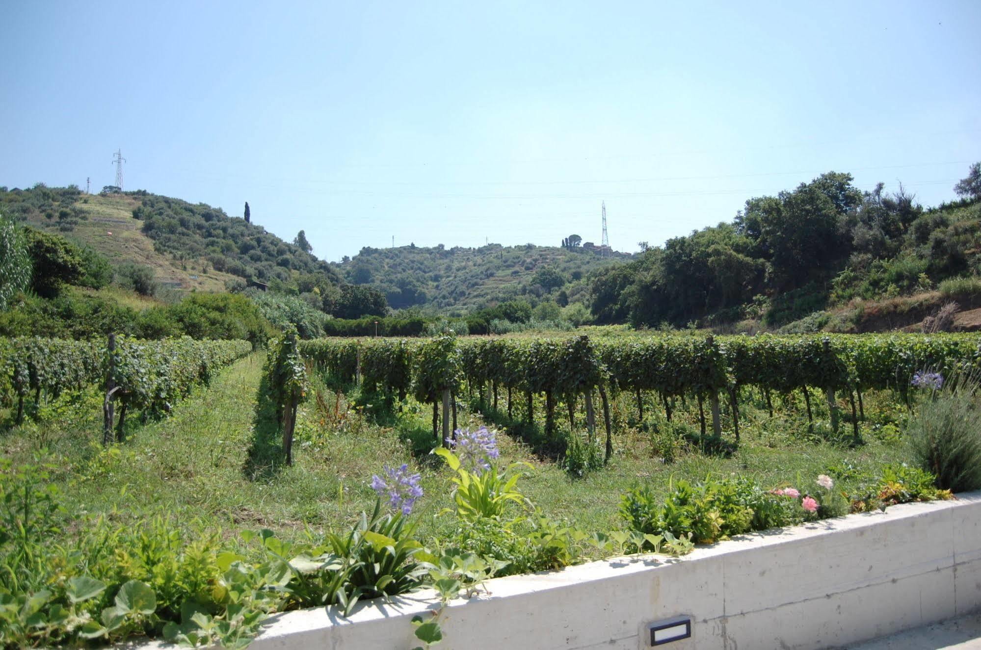 Agriturismo Parra Santa Lucia del Mela 외부 사진